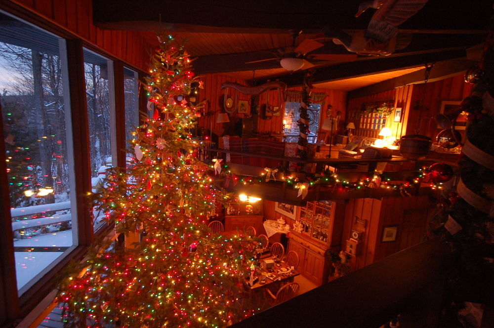 Stouffermill Bed & Breakfast Algonquin Highlands Extérieur photo